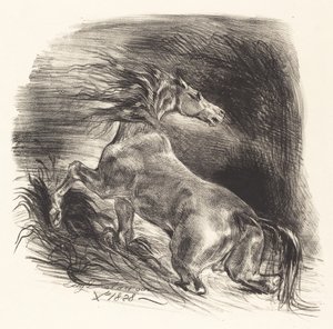 Wild Horse Coming out of the Water by Eugène Delacroix