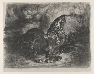 Wild Horse Felled by a Tiger