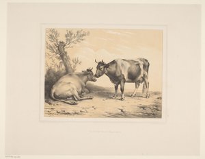 Two Cows by Eugène Verboeckhoven