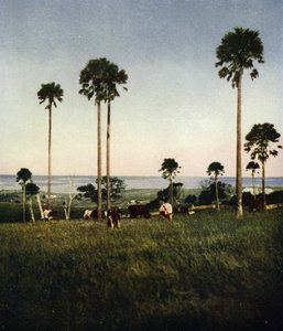 Australia, Illawarra by European Photographer