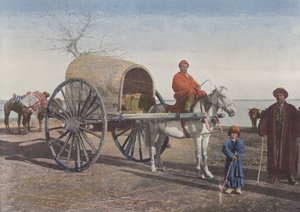 Bukharan Cart on the Move