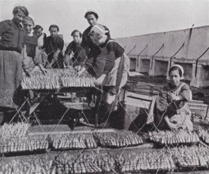 Drying sardine by European Photographer