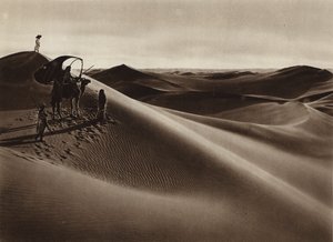 Dunes by European Photographer