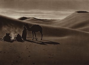 Evening in the desert by European Photographer