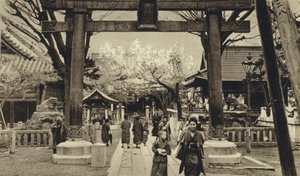 Japan, Street in Tokyo, time of cherry blossom by European Photographer