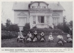 The Hagenbeck Menagerie