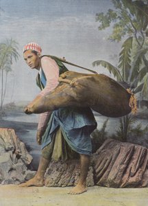 Water Carrier in Cairo by European Photographer