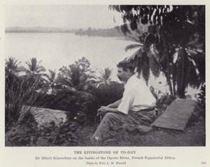 The Livingstone of today by European Photographer