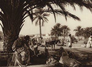 Touggourt Oasis by European Photographer