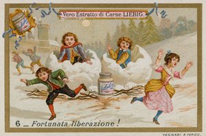A Lucky Escape by European School
