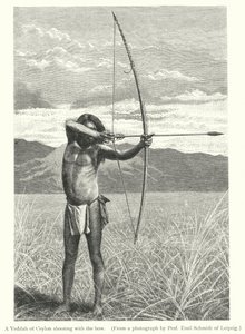 A Veddah of Ceylon shooting with the bow by European School