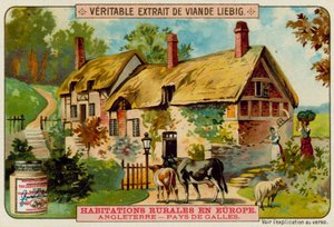 A Welsh Farmhouse by European School