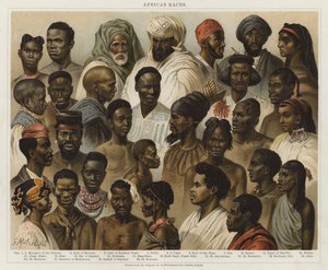 African Races