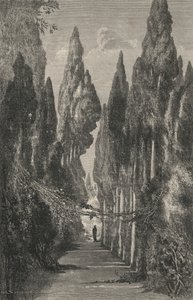 Avenue of the Generalife (engraving) by European School