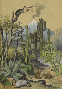 Animals and plants of Mexico