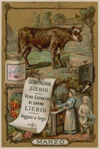 Beef by European School
