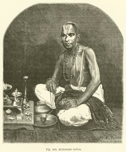 Indian Brahmin