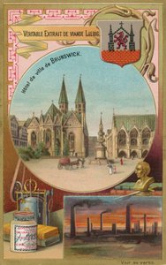 Brunswick by European School