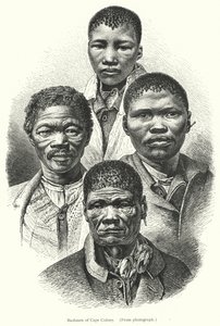 Bushmen of Cape Colony by European School