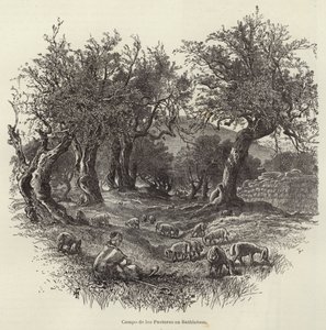 Field of the Shepherds in Bethlehem