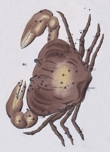 Cancer by European School