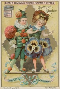 Dahlia and Pansy by European School