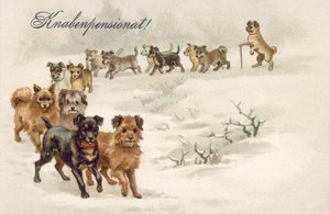 Dog Postcard by European School