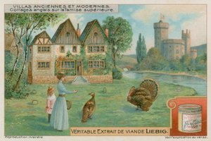English cottages on the Upper Thames by European School