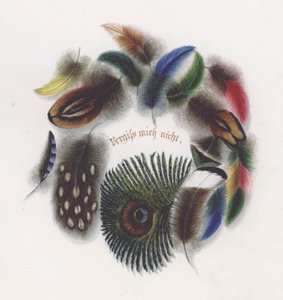 Feathers