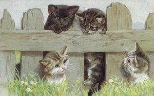 Four Kittens by a Fence by European School