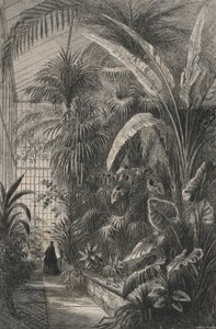 Grande Serre of the Museum of Paris by European School