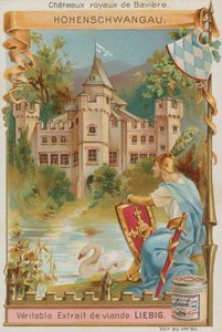 Hohenschwangau by European School