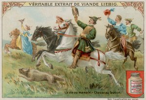Hunting with Falcons
