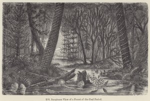 Imaginary View of a Forest of the Coal Period by European School