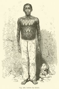 Brazilian Indian by European School