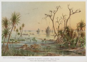 Lagoon in North Loango, West Africa by European School