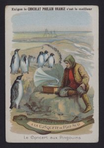 The Penguin Concert by European School