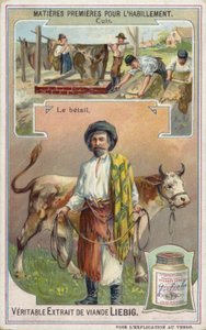 Leather: Cattle by European School