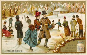 Life in Winter by European School
