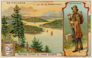 Lumberjack and Lake and Forests Near Kesamonsaari