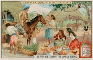 Mexican Ranchers and Cowboys