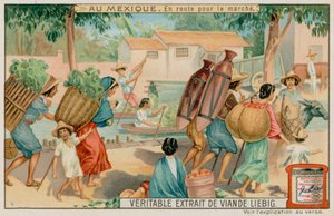 Mexicans on Their Way to the Market