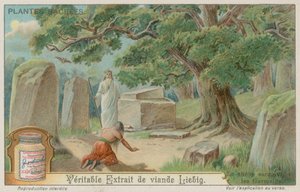 Oak Tree Sacred to the Ancient Germans by European School