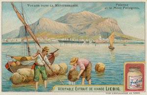 Palermo and Mount Pellegrino