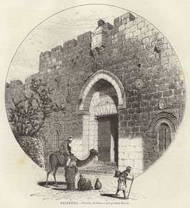 Palestine, Zion Gate or Prophet David