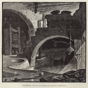 Palestine, A Farmer