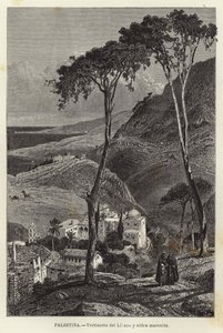 Palestine, Lilano Springs and Maronite Village