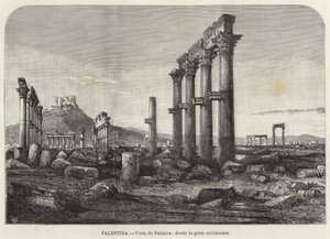 Palestine, View of Palmyra, from the Great Colonnade