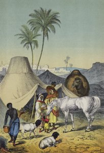 People, animals and plants of North Africa and Arabia