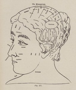 Phrenology, A Manageress